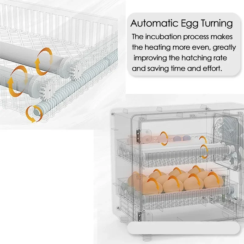 24 Eggs Incubator Fully Automatic Turning Hatching Brooder Farm Bird Quail Chicken Poultry Farm Hatcher Turner Incubation Tool 3