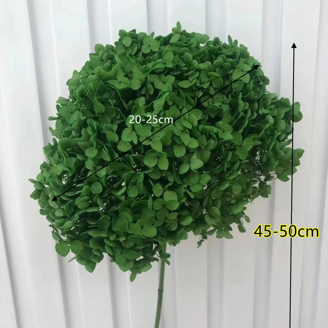 

1pcsDried Flower Nature Fresh Preserved Anna Hydrangea Whole Branch Photograph Wedding Arrangement Home Garden Party Decoration