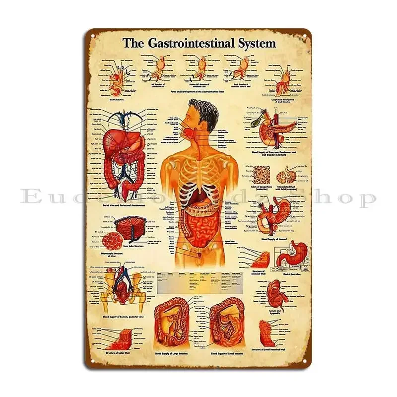 Vintage Gastrointestinal Knowledge Metal Sign Poster Garage Wall Decor Printed Living Room Pub Tin Sign Poster
