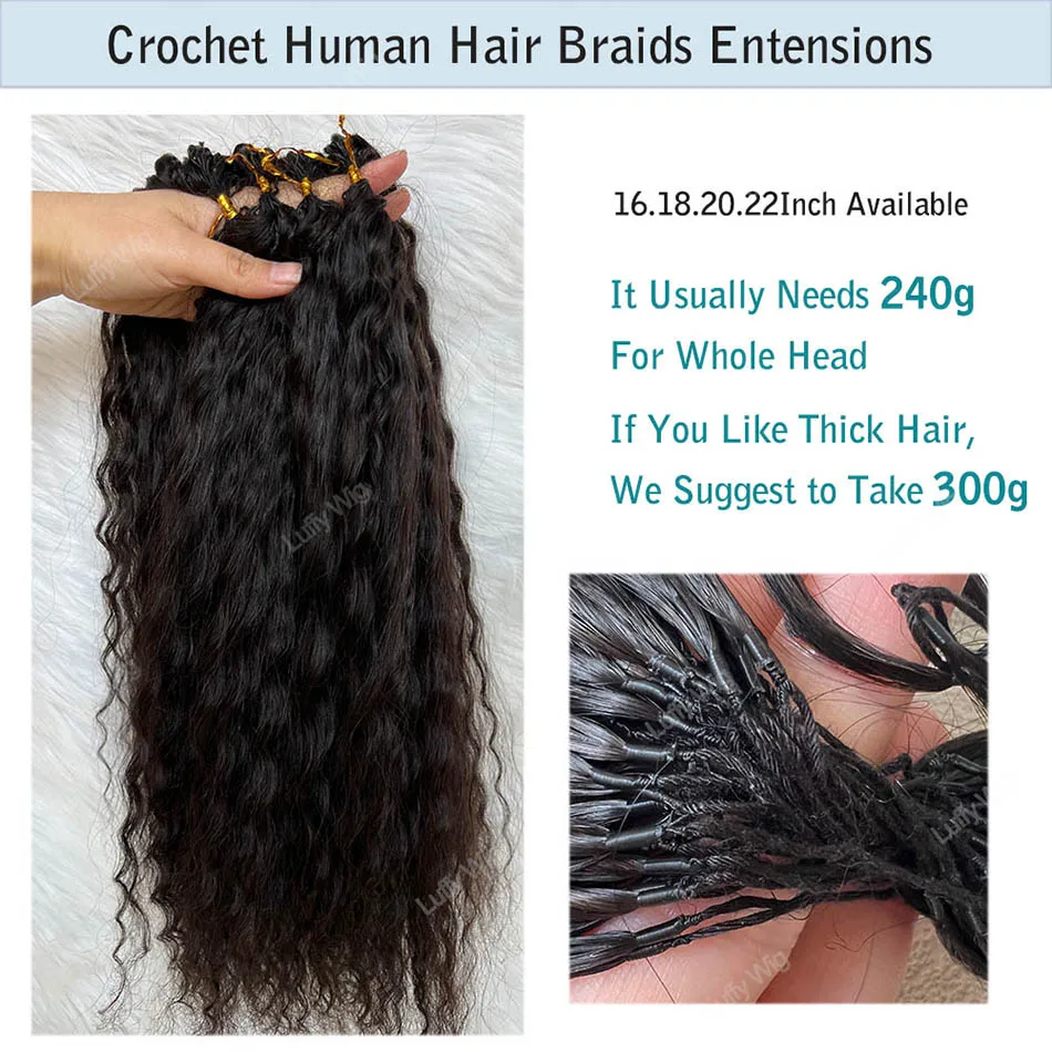 Wet and Wavy Feather Human Hair Braids Extensions for Boho Braiding Pre Separated Burmese Remy Crochet Human Hair Bundles Luffy