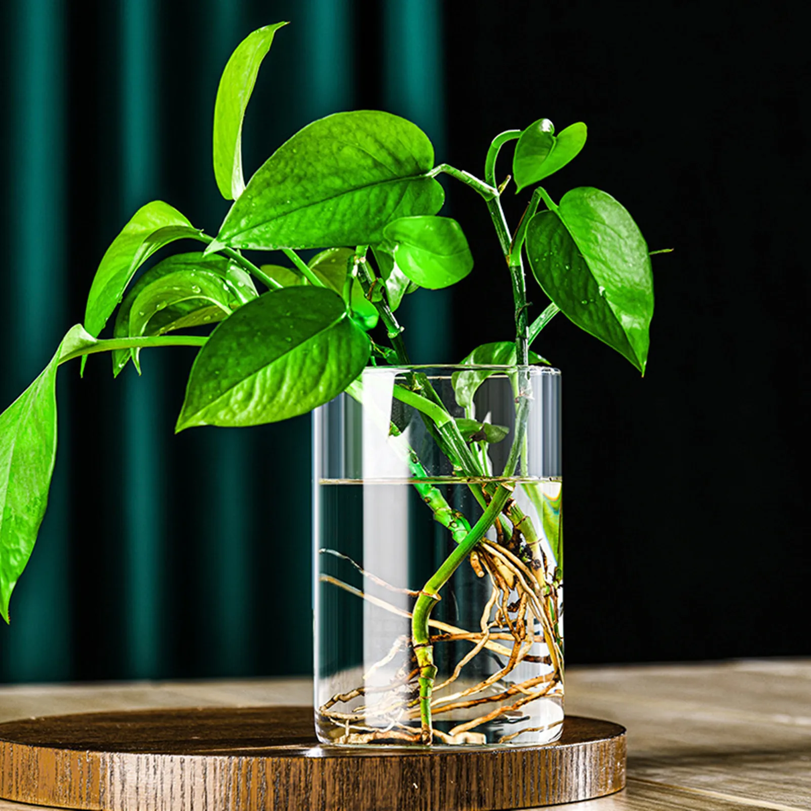 Clear Flower Vase Glass Hydroponic Vase High Borosilicate Glass Vase Cylinder Flower Vase Candle Holders Wedding Home Decor