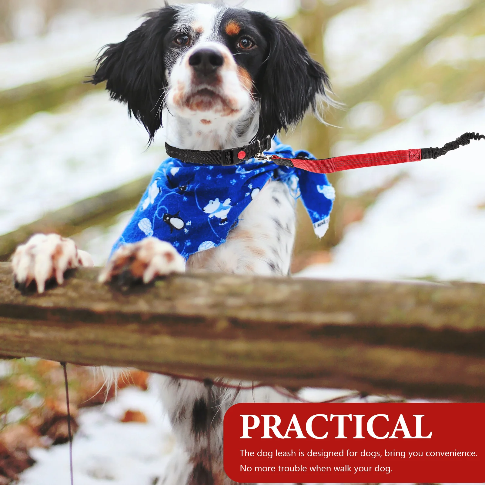

Hands Free Dog Leash Adjustable Reflective Stitching Running Walking Leash For Medium Large Dogs Heavy Duty Outdoor Waist Belt