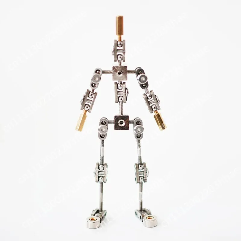 Full metal frozen frame animation character skeleton, stainless steel skeleton DIY animation doll flexible and wear-resistant