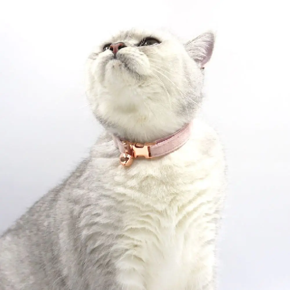 Personalized Velvet Cat Collar Custom Engraved Pet Name Collar For Cats Cat Supplies Cat Collar Belt With Bell Pets Accessories
