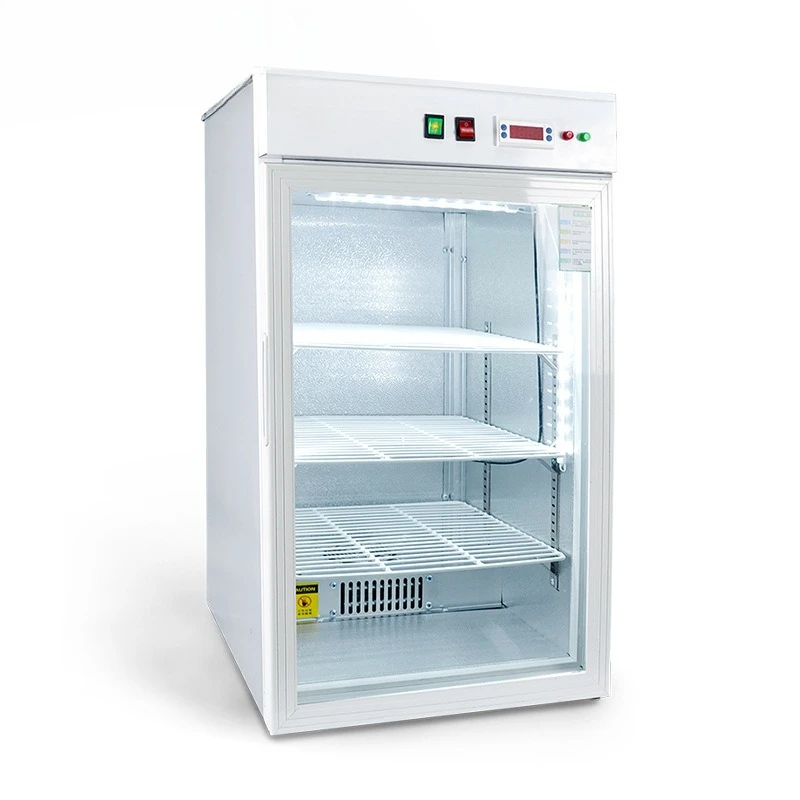 Seed germination box Electric heating constant temperature and humidity test box Bacteria and microorganisms