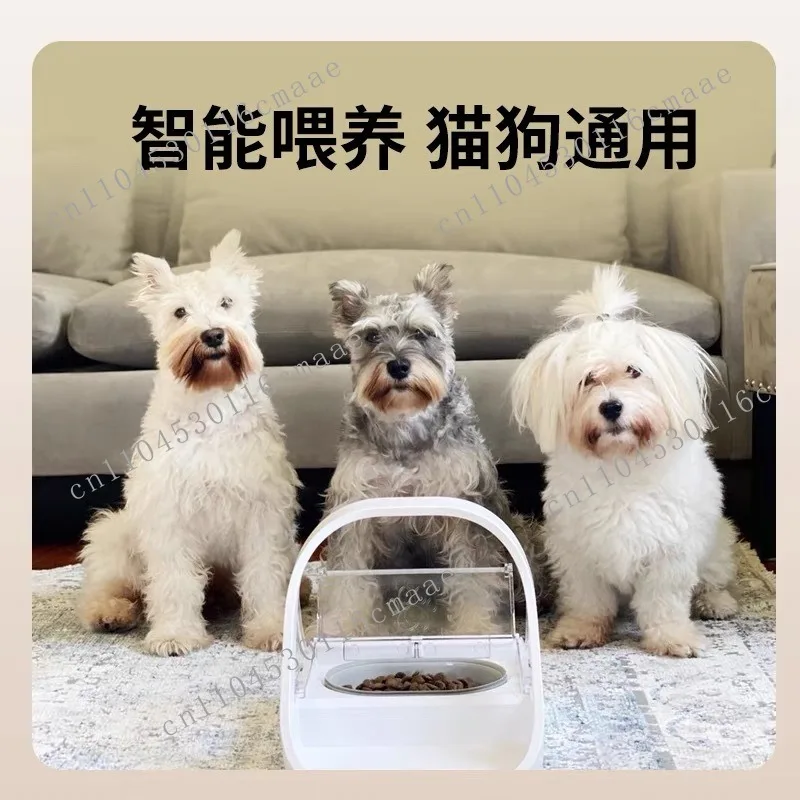 Chip recognition induction feeder multi-cat family automatic meal sharing pet cat bowl fresh and insect-proof