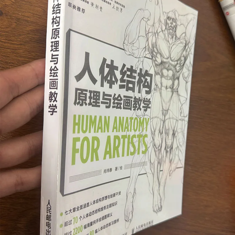 Professional Human Anatomy Drawing Book for Artists Body Structure Principles 80 Pose Guides