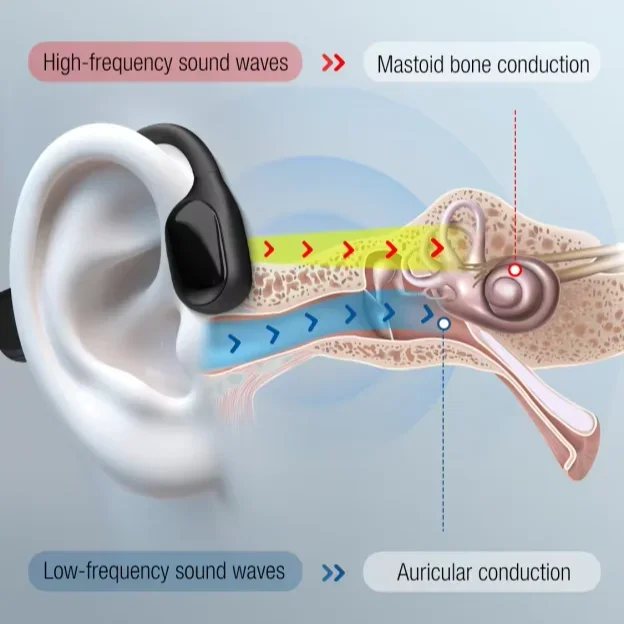 Bluedeer Bone Condu…