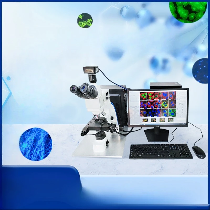 Microscópio inteligente automático, microscópio de fluorescência autofoto com foco automático