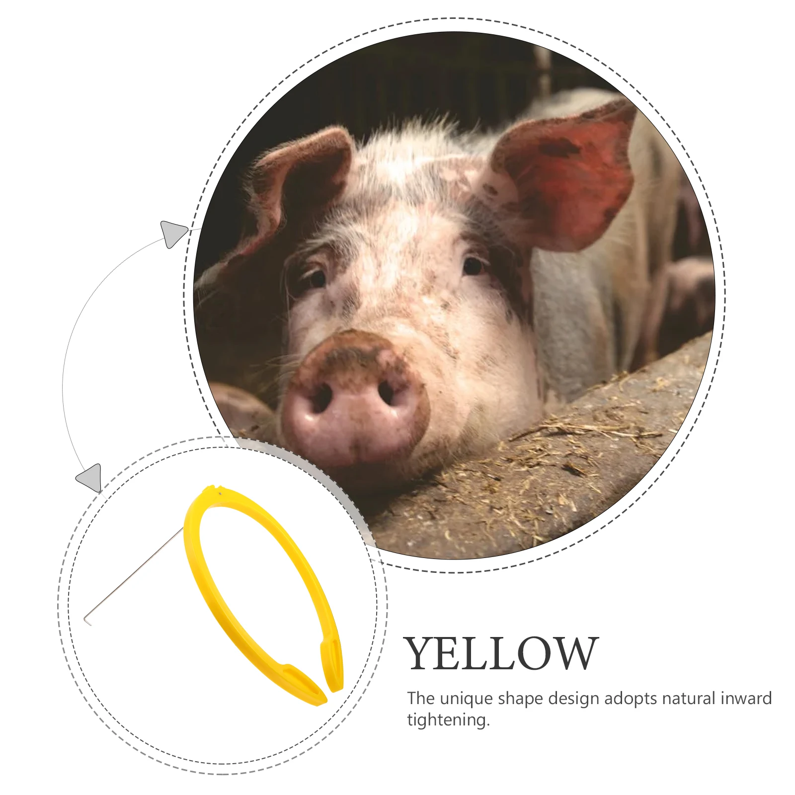 

Pig Clip Large Size Stainless Steel Farm Tool Fertilization Equipment Home Stents Auxiliary Artificial