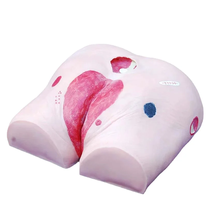 Decubitus Ulcer Care Artificial Buttocks Model for Nurse Training