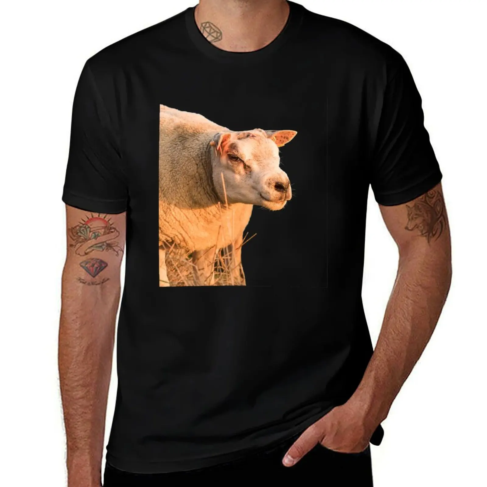 

Texel Sheep II T-Shirt tees baggy shirts croswit shirt man anime figures mens t shirts top quality