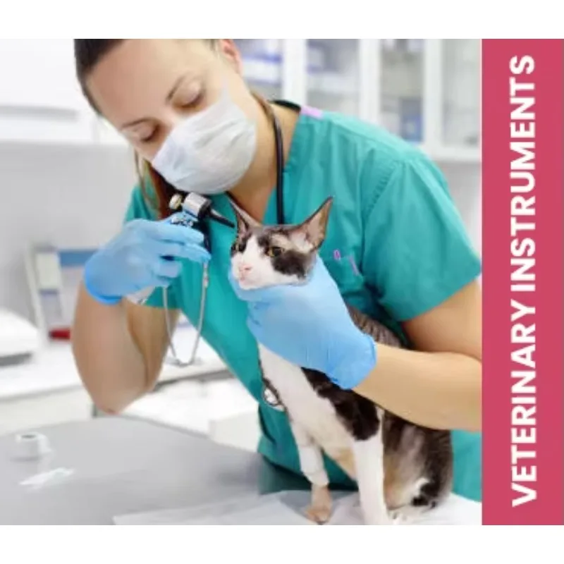 Professional 52-Piece Urology  Instrument Set Stainless Steel CE Certified Precision Tools for Urinary Tract Diagnosis