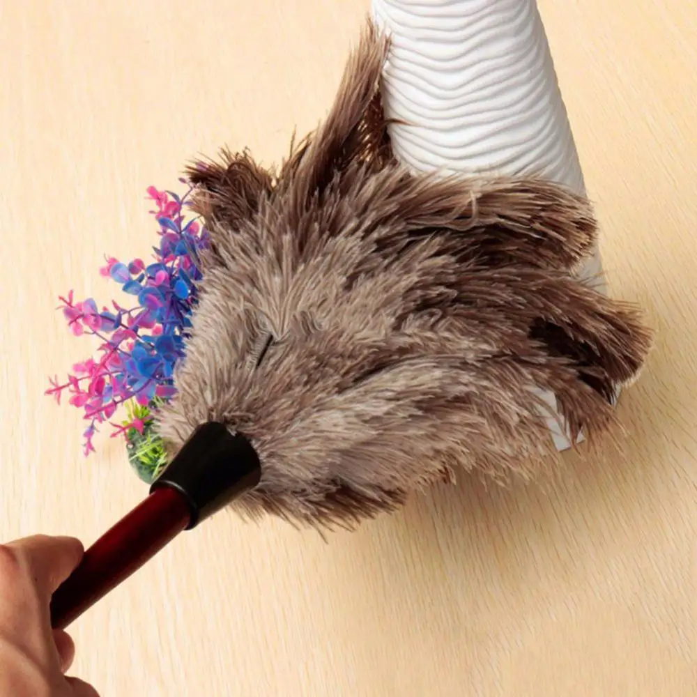 Feather Duster Anti-static Ostrich Feather Fur Wooden Handle Brush Duster Furniture Manual Dust Removal Household Cleaning Tool