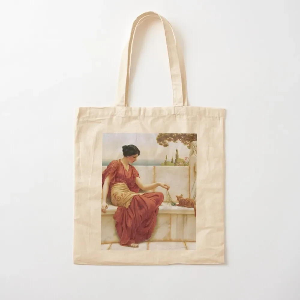 

John William Godward - The Favourite Tote Bag Canvas stote bag reusable grocery bags eco pack hand bag