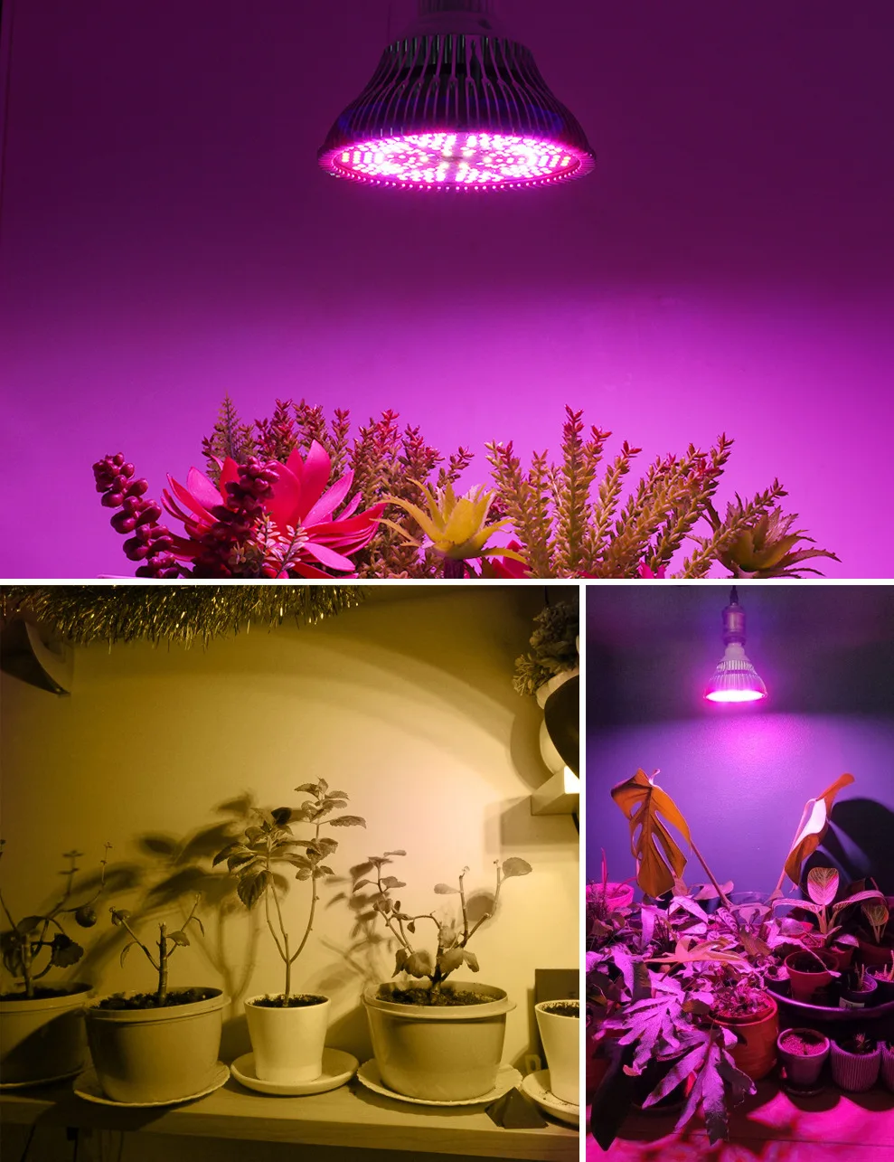 Imagem -05 - Luz de Crescimento Hidropônico E27 Grow Bulb Espectro Completo Lâmpada uv Planta Flor e Mudas Luz Suplementar de Alta Qualidade