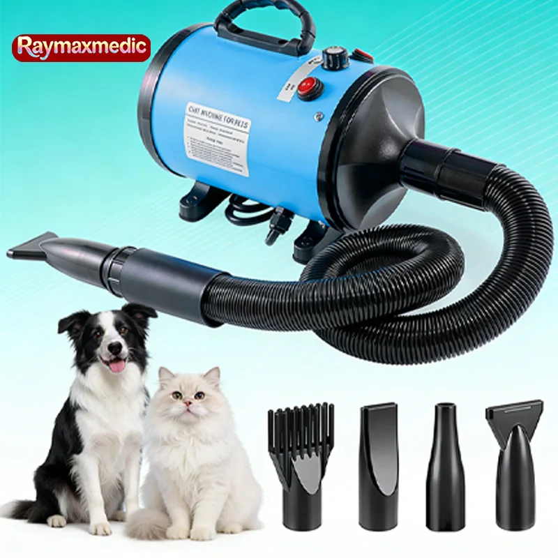 Raymax 2800W Hair D…