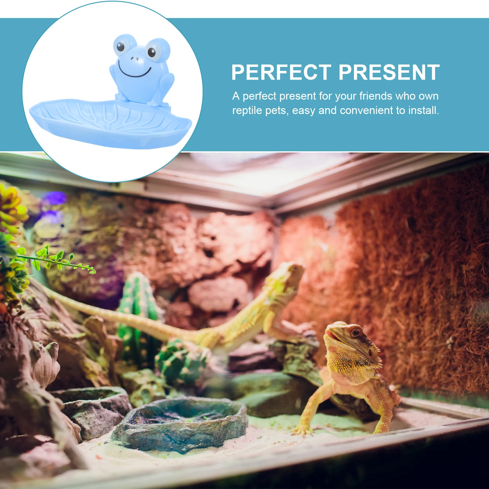 

Reptile Resting Terrarium Habitat Frog Accessory Delicate Reptile Rest Place Smooth Surface Easy Install R om Color Pet Supplies