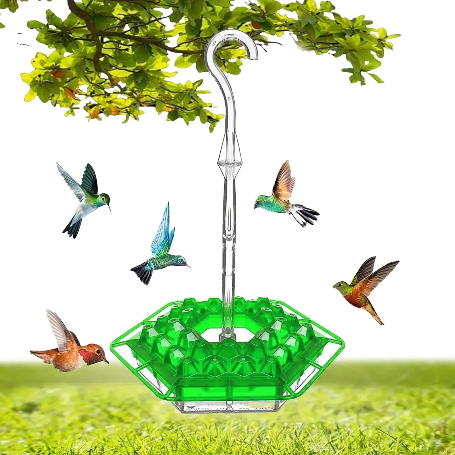 Thumbnail 4 - #65 Most Popular Automatic Feeders