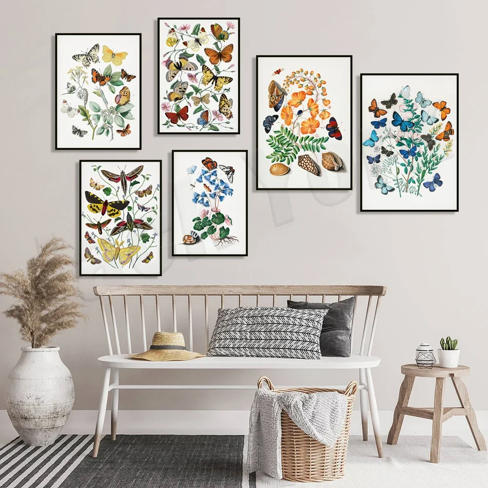 Vintage butterfly poster, shells and flowers, entomology prints, plants, european decor vintage style poster bedroom decor