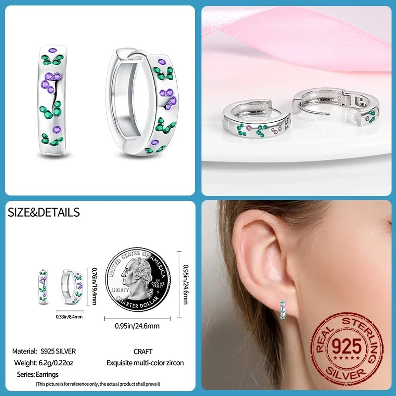 تألق الزركون أقراط للنساء ، 925 فضة ، زهرة ملونة ، فراشة ، النحل ، أنيقة مجوهرات الزفاف هدية