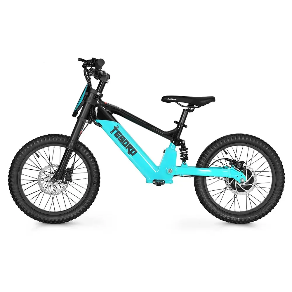 Lianmei Tesoro Model No. LME-BB3 18 inch 36V 350W brushless motor 3 Speeds Electric Kids Balance Bikecustom