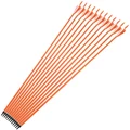 12pcs Orange