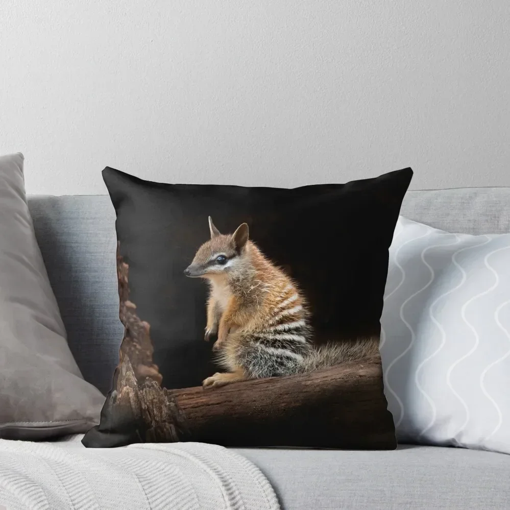 

Baby Numbat Throw Pillow Decorative Cushions Pillow Case pillow