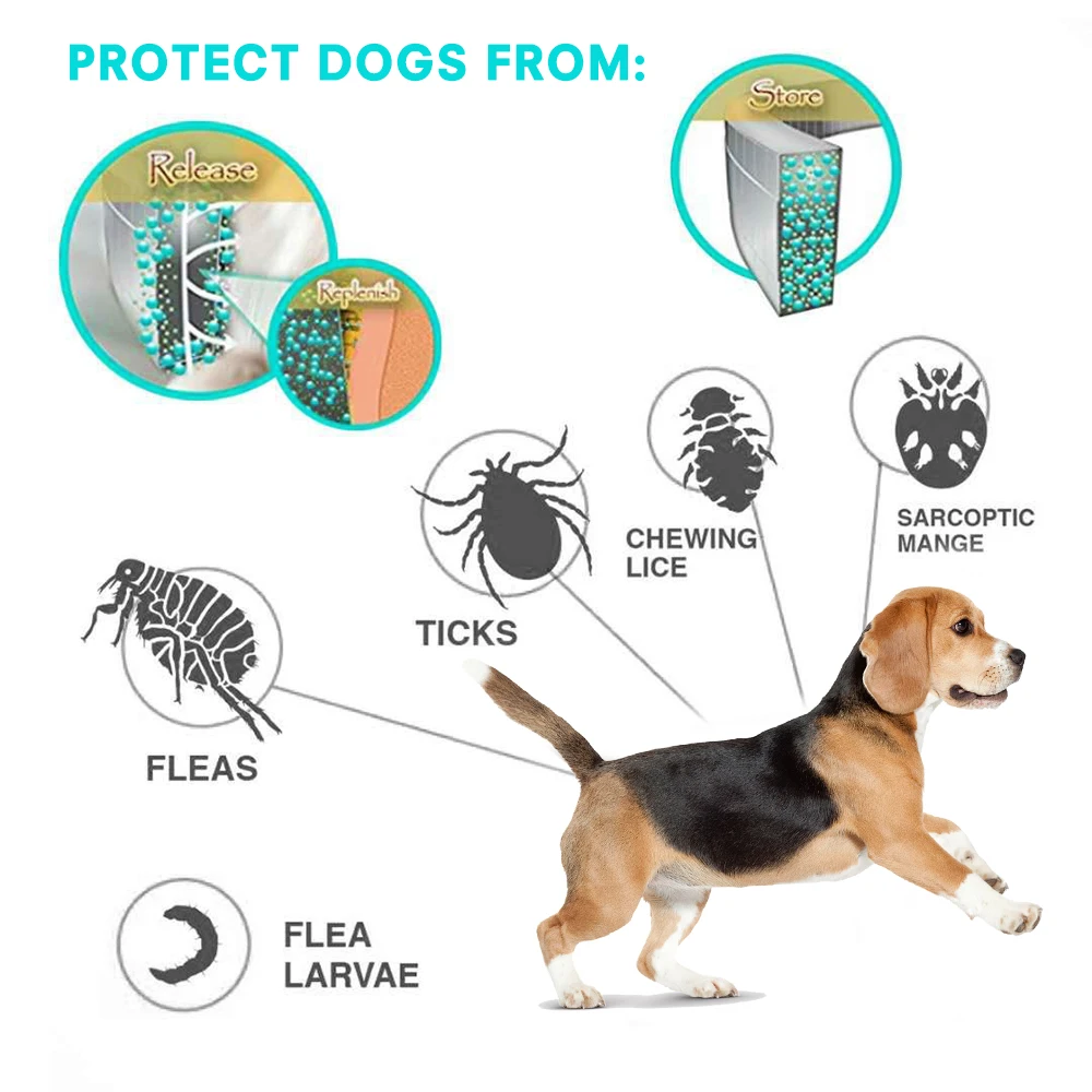 Flea Deworming Cat Collar Anti Repellent Mosquitoes Adjustable Vitro Mosquitoes Puppy Retractable Insect Dogs Accessories