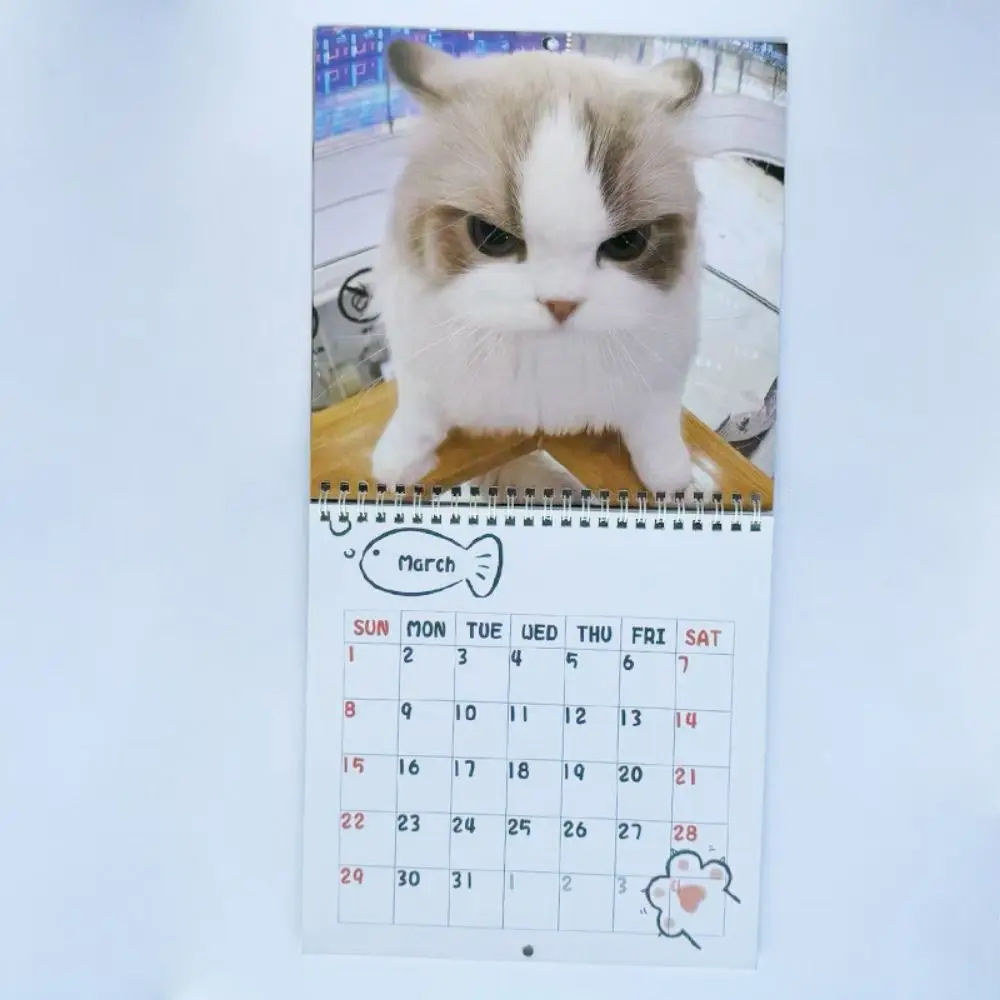 

Милый календарь с изображением кота на 2026 года, планировщик для заметок, очаровательная шляпа с глазом лягушки, ежемесячный календарь с изображением кошки, расписание на 2026 год, настенный календарь