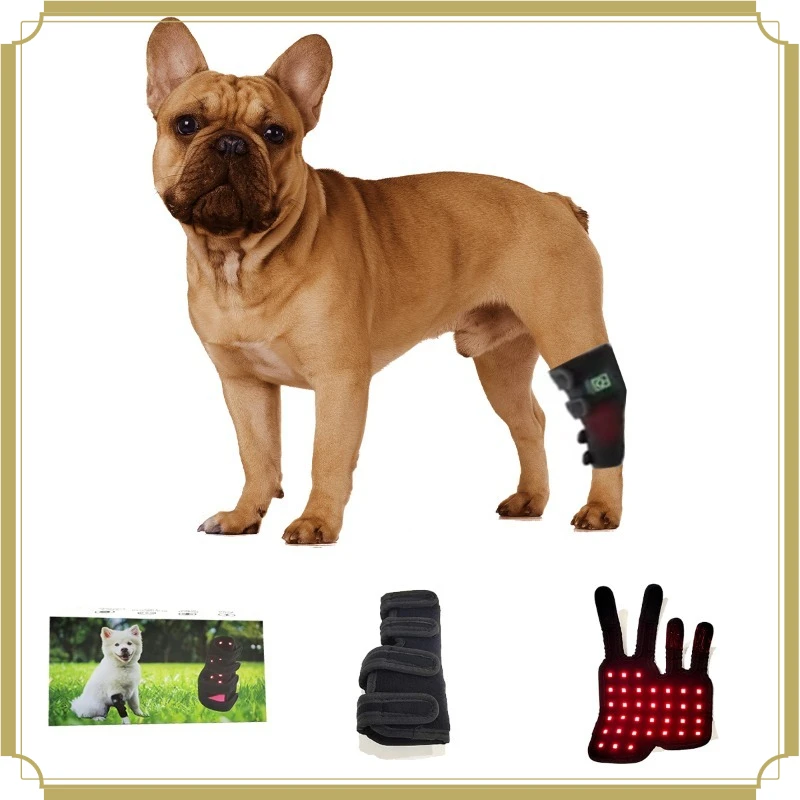 Pulse Wireless Handheld LED Therapy Device 660nm 850nm Red Infrared Wrap Pet Red Light Pad for Dog Cat Paw Treatment