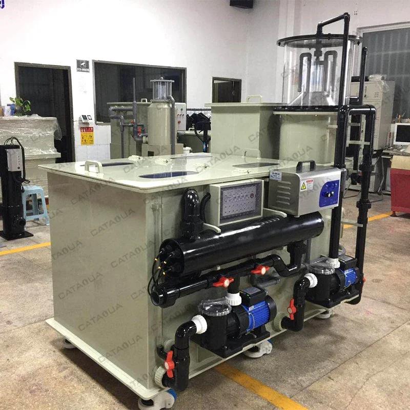 CE Recirculating Aquaculture System (RAS) for Bass & Tilapia Fish Farming Food Grade PP High Efficiency 50000L/Hour Capacity