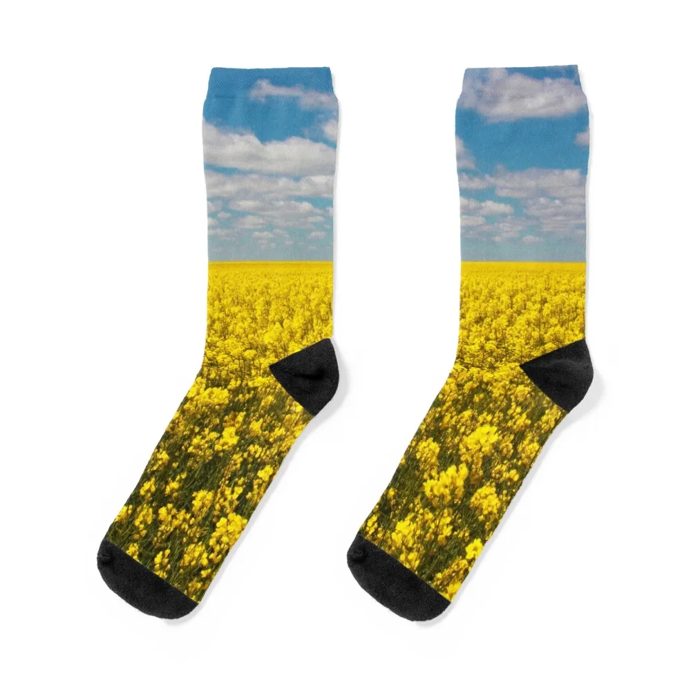 

Canola Field Socks colored Argentina Christmas anti-slip Socks Men's Women's