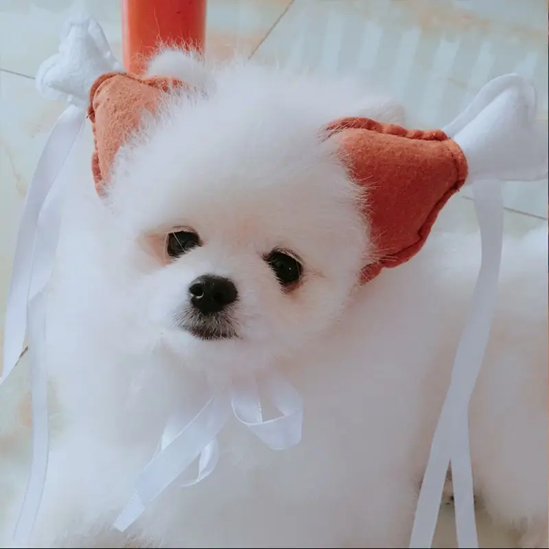 Pet funny chicken leg headband cute little dragon girl cute dog funny headwear photo props cat hat