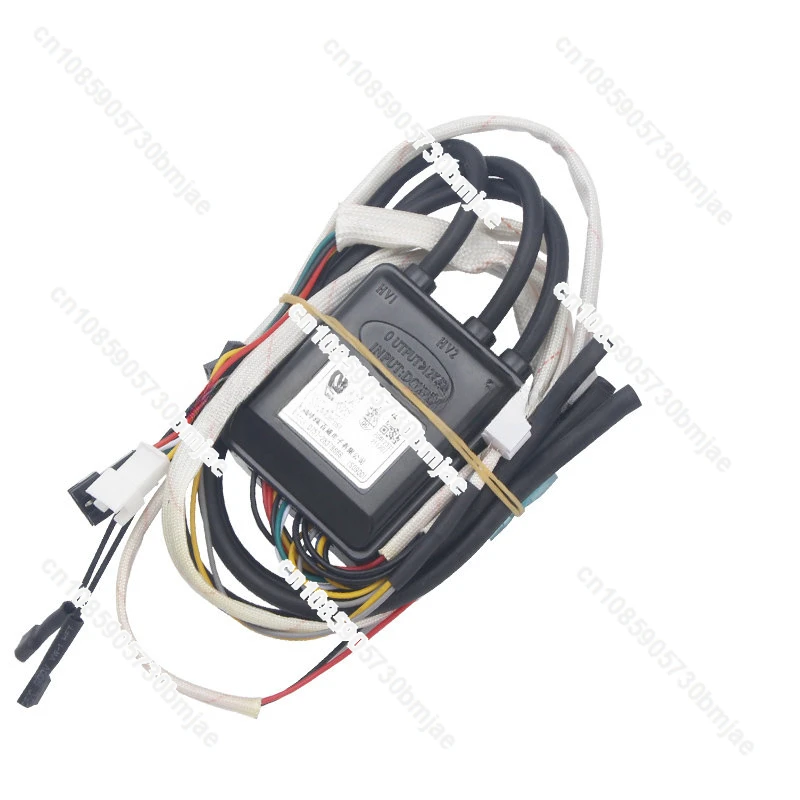 2 pieces General Budweiser Changwei Gas Water Heater Pulse Igniter Flue Igniter Controller Water Heater Accessories