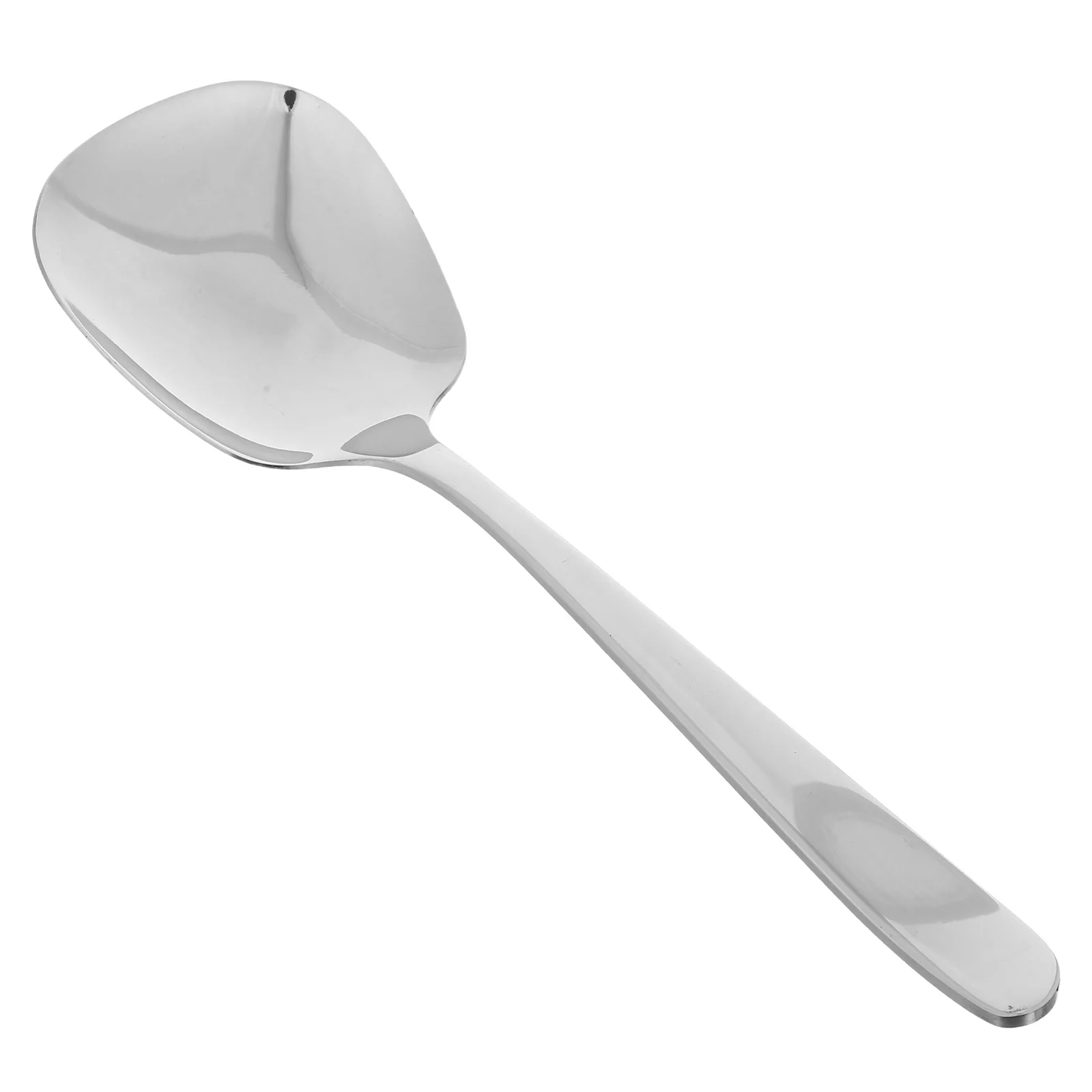 

Large Stainless Steel Serving Spoons 25.5cm Thickened Handle for Hotel Buffet Catering Kitchen Tableware Spoons Cutlery