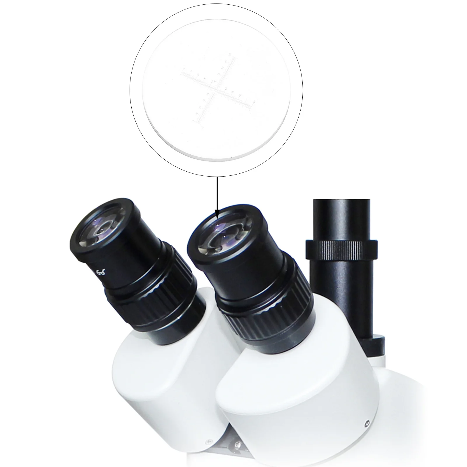 100 Divisions 0.1Mm Ocular Micrometer For Microscope Calibration Cross Rulers Slides Area Measuring Eyepiece Micrometers