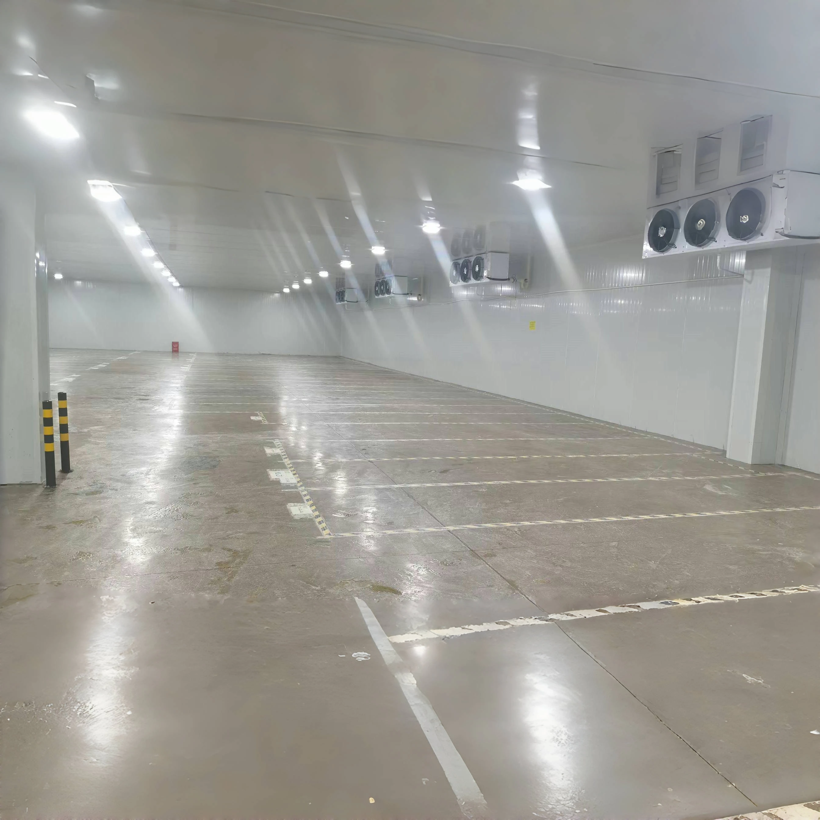 Industria Chambre Froide Unità di stoccaggio del freddo Conservazione del freddo Macchina Sala di stoccaggio Evaporatore Industria Conservazione del freddo per carne di verdure