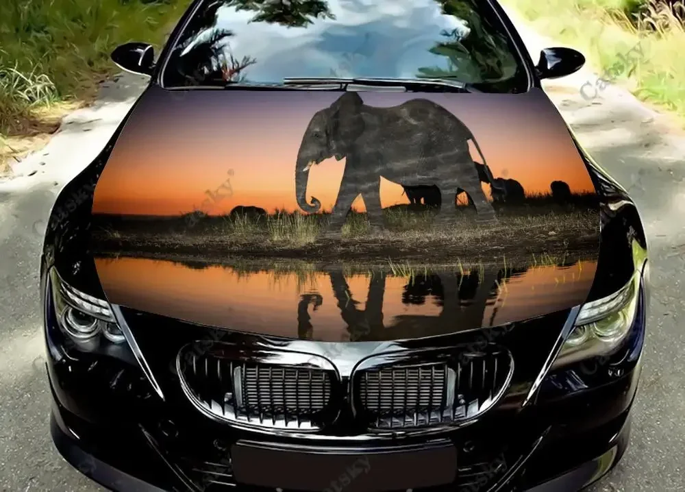 elephant animal Car hood sticker wrapped vinyl film hood decal sticker universal painting modification protective film decal