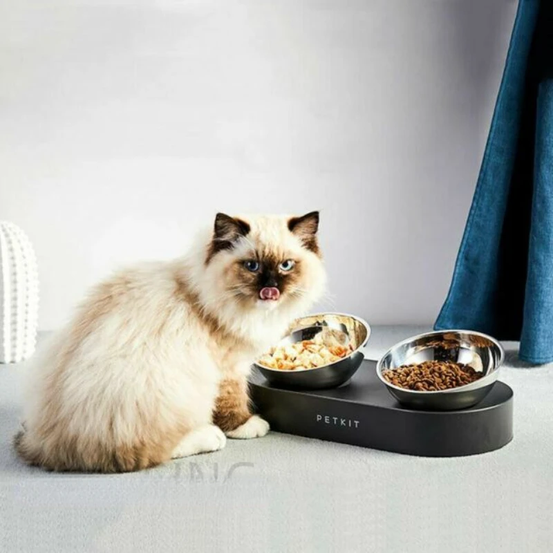 Cat Bowls Stainless Steel Double Bowl Pet Feeder Gold Stainless Steel Pet Bowl With Stand