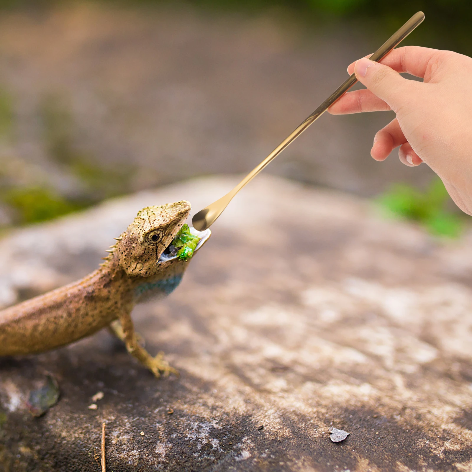 

2pcs Reptile Feeding Spoon Lizard Food Scoop 19cm Short Color Pet Supply Tool Small Animal Feeding Durability Portable