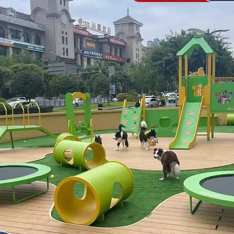 for Dog Agility Playground Pet Training Equipment Durable Colorful Innovative Safe Easy to Clean for Pet Fun Social
