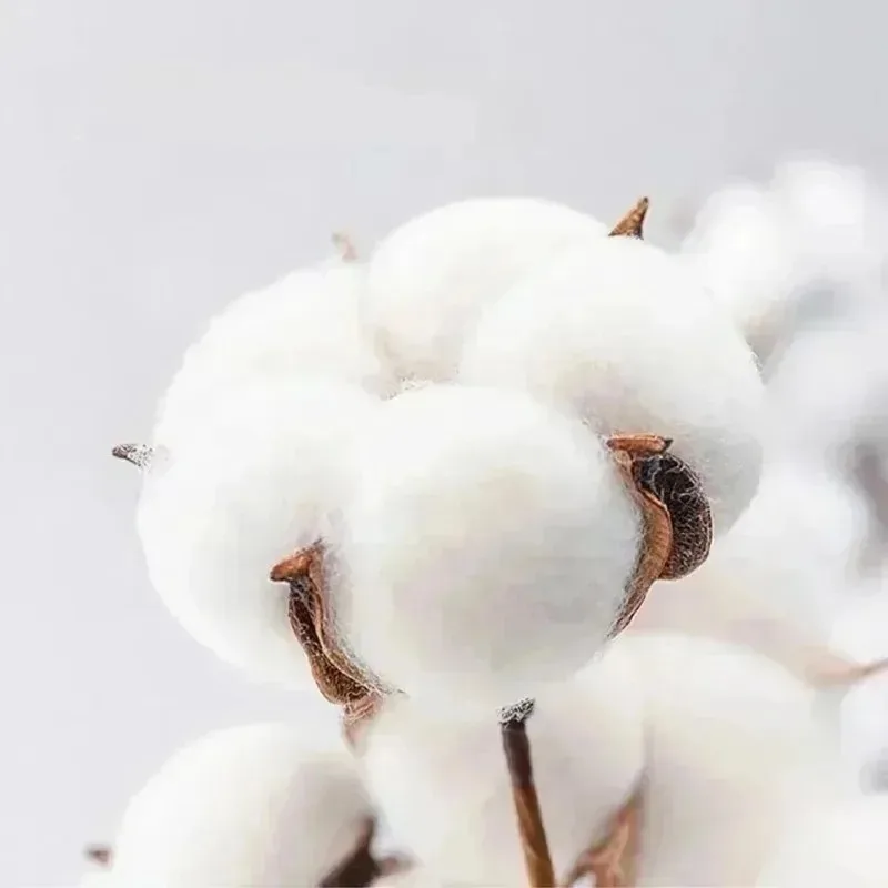 الاتجاه الأوروبي عالية الجودة قصيرة الأكمام تي شيرت 2026 الصيف عارضة إلكتروني طباعة Ins جولة الرقبة نصف كم