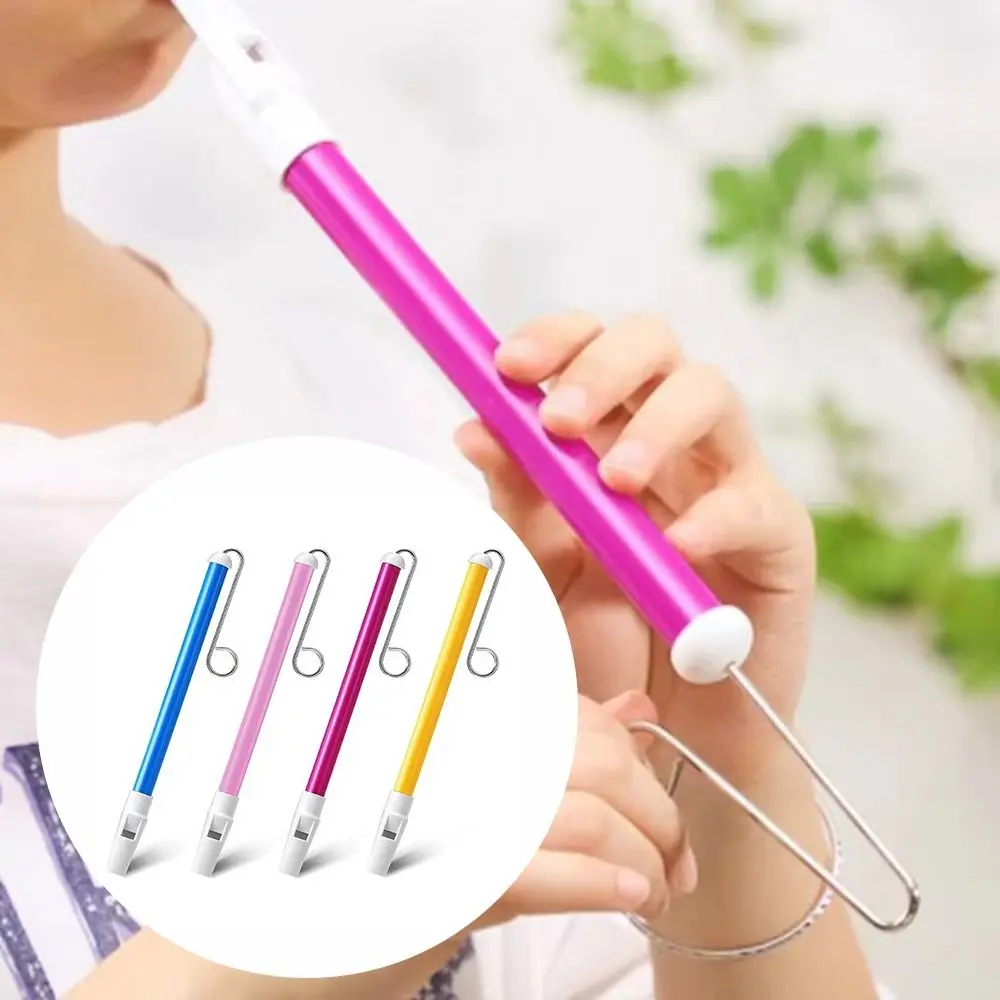 Classic Slide Whistle Toy Funny ABS + Stainless Steel Sliding Flute with Steel Sliding Rod Playing Musical Instrument Funny Gift