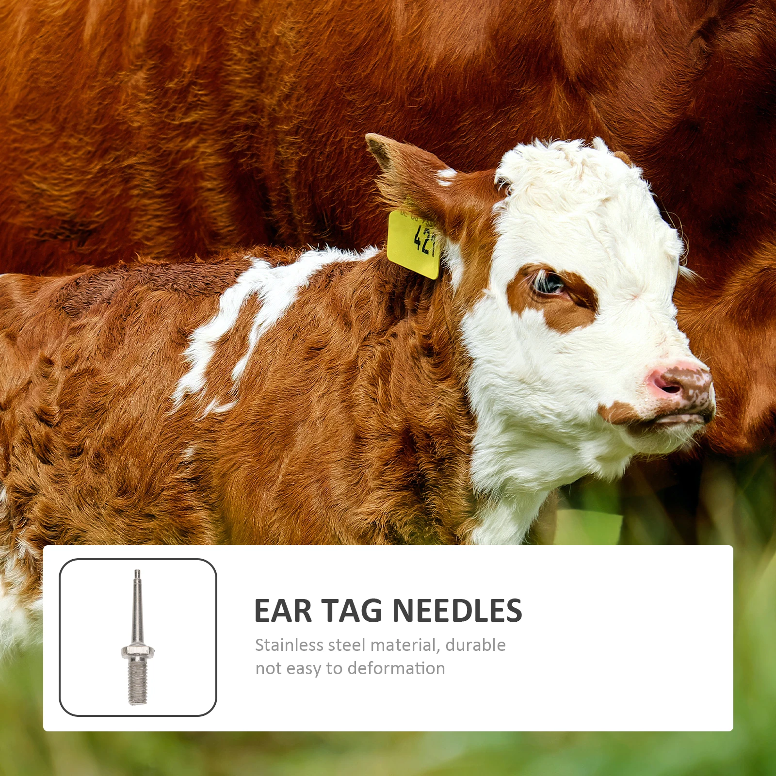 

10 Pcs Ear Tag Needle Sheep Cattle Needles for Cow Tags Numbered Stickers Sturdy Stainless Steel Animal Tool