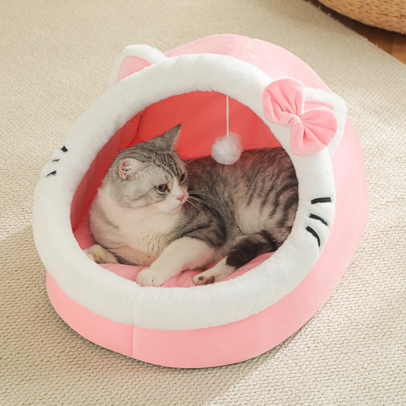 #31 Dog Beds Comparison Guide