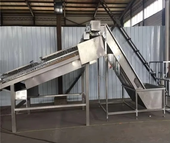 Automatic Prawn Shell Removing Machine Fresh Shrimp Shell Peeling Sheller Machine