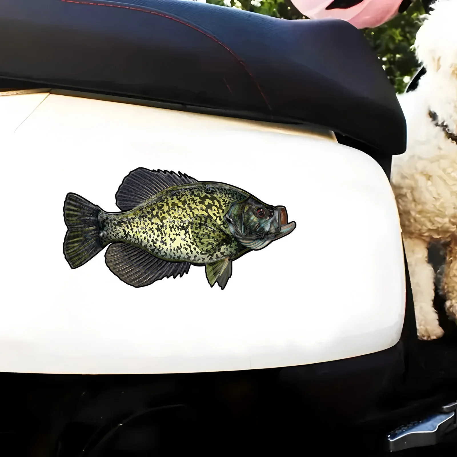 70109# Black Crappie Car Sticker, Waterproof Vinyl Material Accessories, Interesting For Cars, Trucks, Motorcycles, Walls