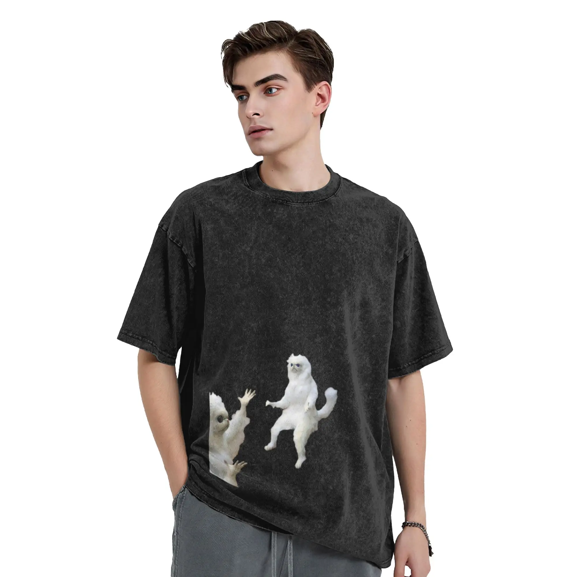 persian cat meme Classic Trendy A Vintage Oversized Cotton Unisex T-Shirts