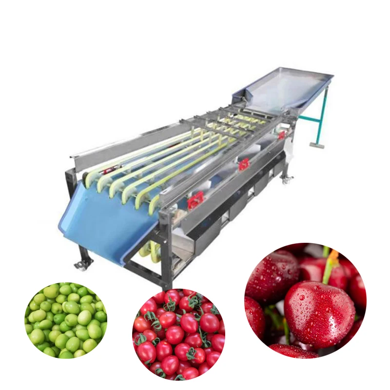 

Commercial Fruit Sorter Vegetable Grading Tomato Dates Sorting Machine With Cleaning Function